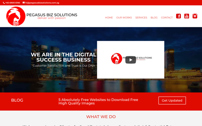 Pegasus Biz Solutions | Digital Marketing and Web Development Company